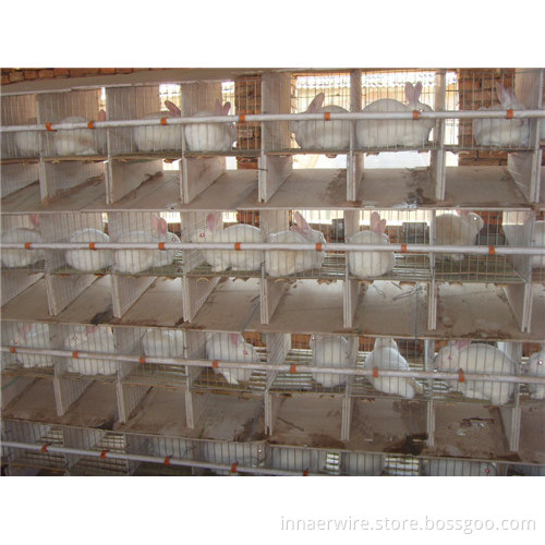 Rabbit Cage